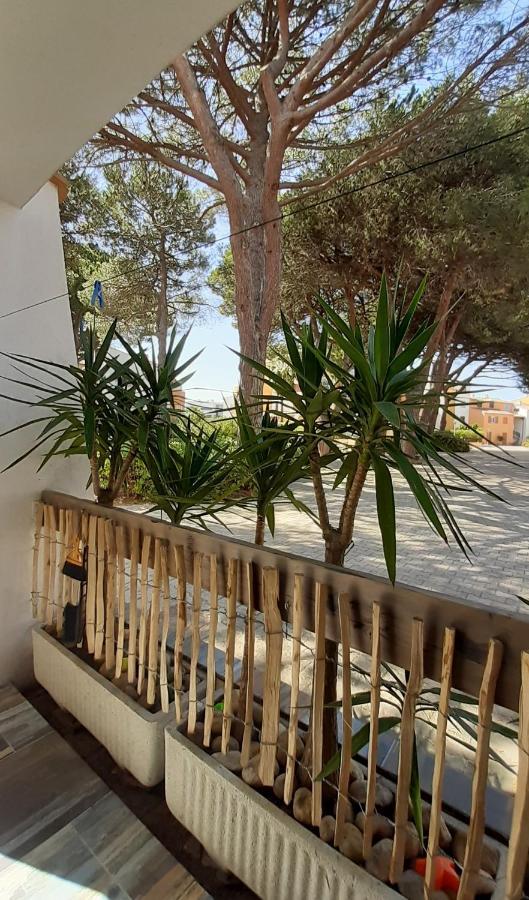 T2-3 Cabine Les Yuccas 200 M Plage Du Boucanet Rive Droite Grau Du Roi Ideal 2-4 Pers لو غراو دو روا المظهر الخارجي الصورة
