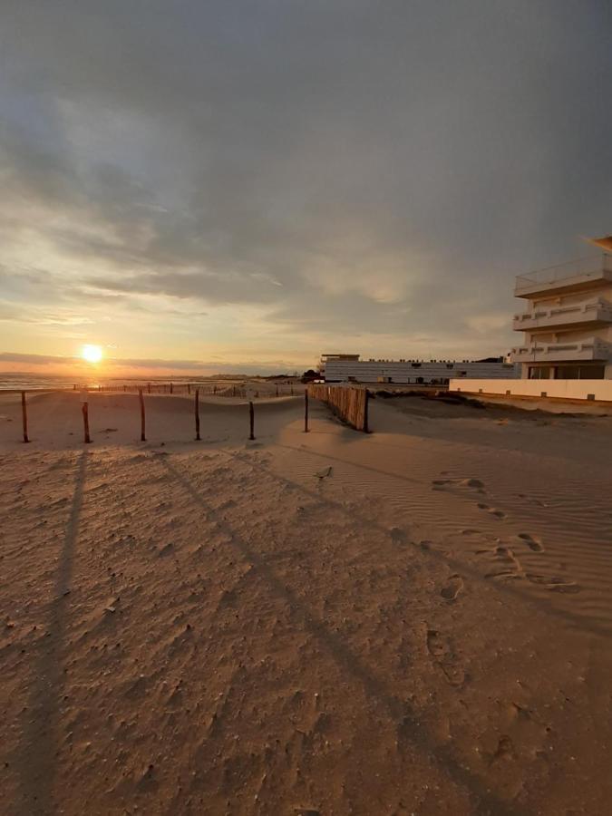T2-3 Cabine Les Yuccas 200 M Plage Du Boucanet Rive Droite Grau Du Roi Ideal 2-4 Pers لو غراو دو روا المظهر الخارجي الصورة