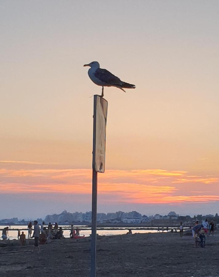 T2-3 Cabine Les Yuccas 200 M Plage Du Boucanet Rive Droite Grau Du Roi Ideal 2-4 Pers لو غراو دو روا المظهر الخارجي الصورة